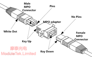  MPO连接器公头和母头的互连示意图
