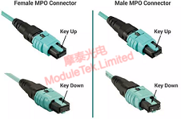 Connector Male Female and Polarity
