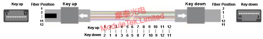  Type C线对交叉线序定义
