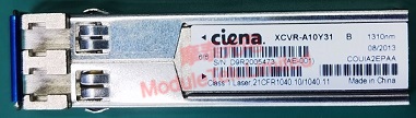 Ciena XCVR-A10Y31光模块