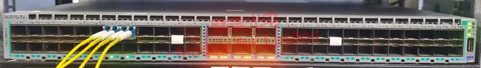 Schematic diagram of optical module accessing the switch