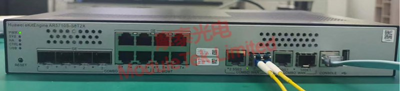 Schematic diagram of an optical module access device