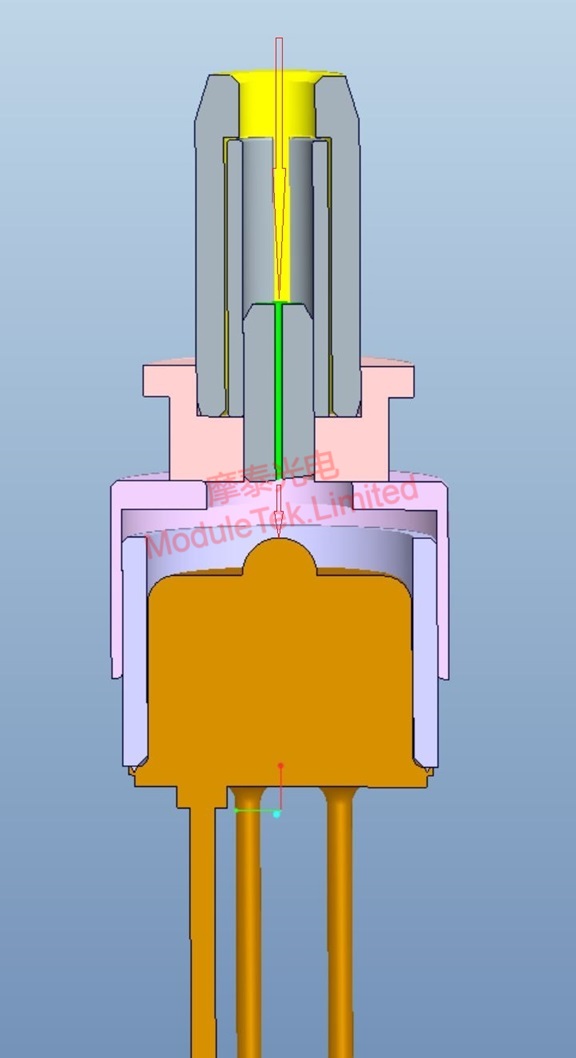 ROSA structure with ferrule